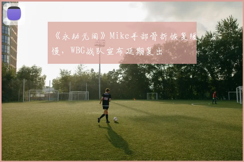 《永劫无间》Mike手部骨折恢复缓慢，WBG战队宣布延期复出